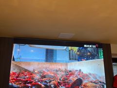 -杨氏青龙虾·羊蝎子(托乐嘉店)