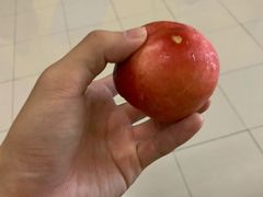 -小放牛河北菜(长安万达店)