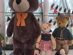 -济州岛泰迪熊博物馆