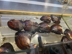 -十八字金银饰·拼豆·开蚌手工体验团建(君太百货店)