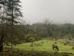 -硗碛藏寨·神木垒景区