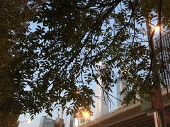 -眉州东坡(国贸店)