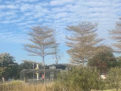 -佛山大学(仙溪校区南区)