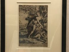 -北京大学赛克勒考古与艺术博物馆