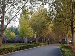 -长春公园(普阳街道)