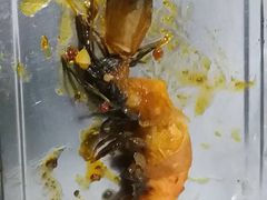 精品炒虾-帅府街兔头(大同古城店)