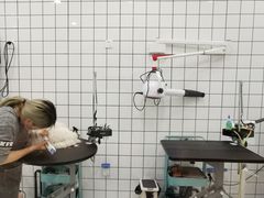 -BABIT巴比特宠物(MOMOPARK店)