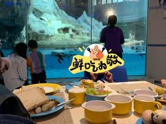 -帝企鹅自助餐厅•儿童岛•真企鹅(长隆企鹅酒店)