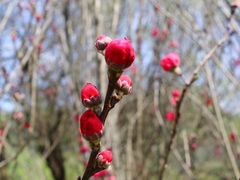 -贵阳市花溪国家城市湿地公园