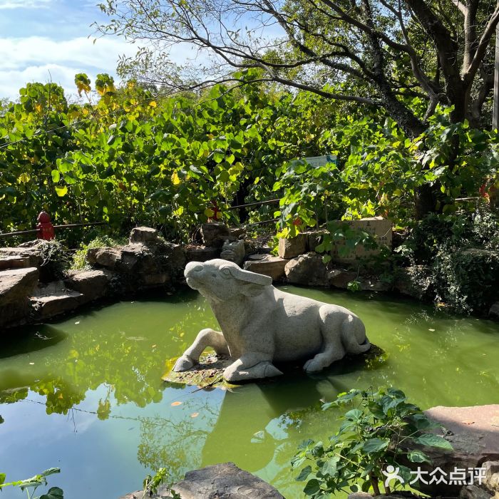 吼山森林公园图片