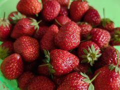 -三旗百汇商品城