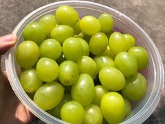 -马陆小张葡萄园农家乐