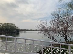 -大兴滨河森林公园