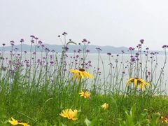 -苏州吴中太湖旅游区