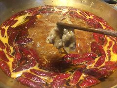 -小龙坎火锅(总店)