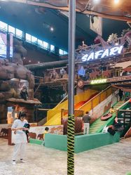 -卡通尼·Safari非洲探索乐园·生日会(金桥国际商业广场店)