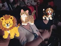 -华美国际影城(旧宫永辉店)