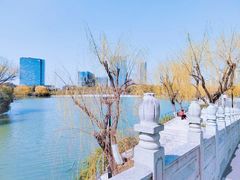 -大宁公园