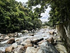 -海南热带雨林国家公园吊罗山景区
