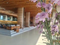 -大连大和馆观山阁温泉酒店