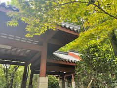 -茶颜悦色(岳麓山顶店)