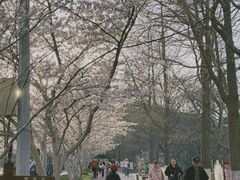 -大连植物园