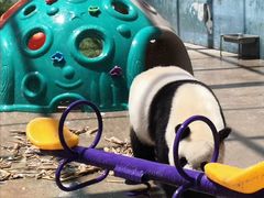 -鄂尔多斯野生动物园