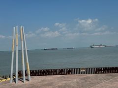 -上海滨江森林公园