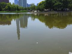 -泰丰公园