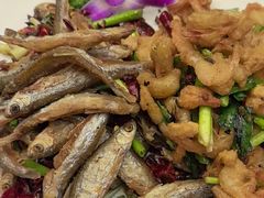-东哥紫阳蒸盆子(旺座·现代城店)