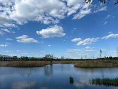 -野鸭湖国家湿地公园