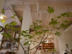 -懒鱼时光馆(沙坪坝店)