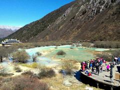 -黄龙山原始森林景区
