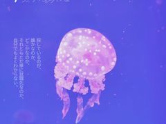 -杭州长乔极地海洋公园