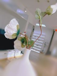 -Yue Show馨选·半永久纹眉纹眼线