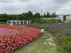 -灵福缘私房菜·农家菜(拈花湾·灵山大佛必推店)