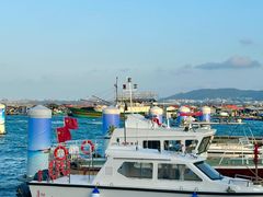 -蓝湾碧波·老字号·疍家非遗海上餐厅