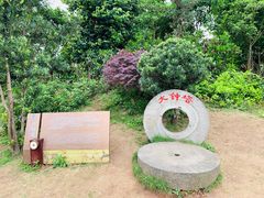 -枫香湖儿童公园
