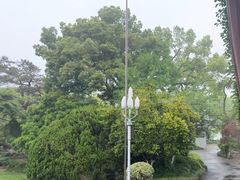 -浙江西子宾馆·瑶园咖啡厅