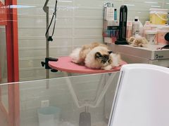 -FAELING PETS美天灵宠物(合生汇店)