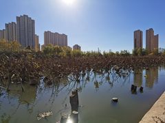 -前关湿地公园