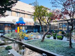 点击看大图 -保丽宝泰母婴护理院·月子中心·产康·中医(常州店)