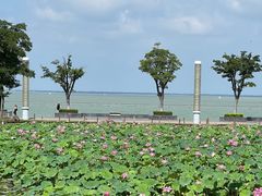 -滆湖低碳生态公园