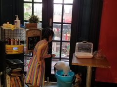 -猫色咖啡·猫咖