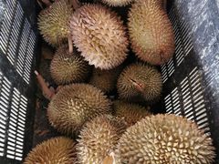 -槟城宝盛园民宿