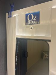 -欧兔博士·O2BOX微高压氧舱