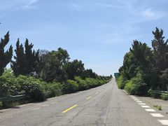 -汉景帝阳陵博物院