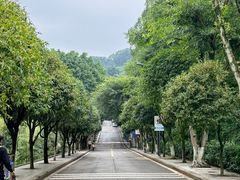 -聂荣臻元帅陈列馆