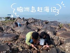 -硇洲岛旅游区