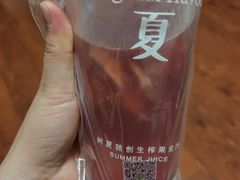 -树夏(建设路店)